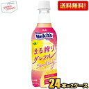 クーポン配布中★【送料無料】アサヒ Welch's ウェルチ まる搾りグレフルスパークリング 450mlペットボトル 48本(24本×2ケース) グレープフルーツ asahi2505 ※北海道800円・東北400円の別途送料加算(4)