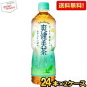 期間限定特価★コカ・コーラ 爽健美茶 600ml増量ペットボトル 48本(24本×2ケース) (コカコーラ) ※北海道800円・東北400円の別途送料加算 20190110