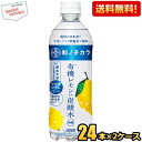 期間限定特価 【送料無料】ダイドー 和ノチカラ 有機レモン使用 炭酸水 500mlペットボトル 48本(24本×2ケース) スパークリングウォータ..