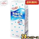 【送料無料】エルビー カルピスウォーター 250ml紙パック 48本(24本×2ケース) ※北海道800円・東北400円の別途送料加算 [39ショップ]