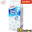 【送料無料】エルビー カルピスウォーター 250ml紙パック 96本(24本×4ケース) ※北海道800円・東北400円の別途送料加算 [39ショップ]