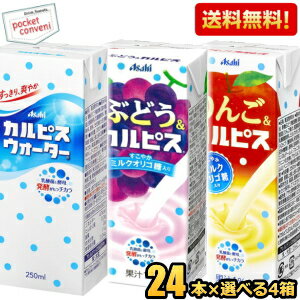 お買いものパンダのお皿プレゼント開催中★期間限定特価 カルピス 250ml紙パック飲料 選べる4ケース 計96本(24本×4ケース)セット フルーツカルピス カルピスウォーター ぶどう＆カルピス りんご＆カルピス ※北海道800円・東北400円の別途送料加算