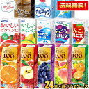期間限定特価【送料無料】 エルビー紙パック飲料 選べる2ケース 計48本セット 果汁100%ジュース C1000 スポーツドリンク カフェオレ 200ml 250ml 野菜ジュース ※北海道800円・東北400円の別途送料加算
