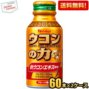 【送料無料120本】ハウスウェルネス ウコンの力 ウコンエキスドリンク 100mlボトル缶 120本(60本×2ケース) ※北海道800円・東北400円の別途送...