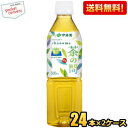 クーポン配布中★期間限定特価 【送料無料】 伊藤園 茶の間 500mlペットボトル 48本(24本×2ケース) お茶 緑茶 国産茶葉100%
