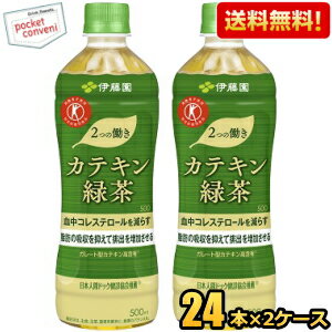 クーポン配布中 在庫処分特価&あす楽対応 伊藤園2つの働きカテキン緑茶500mlペットボトル48本(24本×2ケース)二つの働