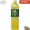 クーポン配布中★送料無料【スリムボトル】伊藤園 お〜いお茶 濃い茶 1Lペットボトル 12本入 おーいお茶 濃いお茶 機能性表示食品 ※北海道800円・東北40...