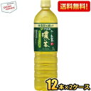 スリムボトル【送料無料】伊藤園 機能性表示食品 お〜いお茶 濃い茶 1Lペットボトル 24本(12本×2ケース) おーいお茶 濃いお茶 ※北海道800円・東北4...