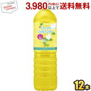 クーポン配布中★伊藤園 Relaxジャスミンティー 1Lペットボトル 12本入 リラックスジャスミンティー スリムボトル