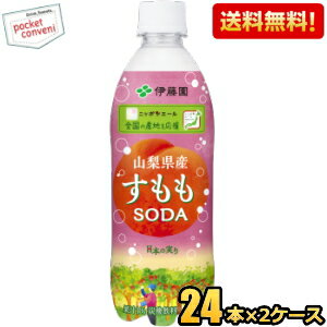 Rakuten - 【送料無料】伊藤園 ニッポンエール 山梨県産すももソーダ 480mlペットボトル 48本(24本×2ケース) プラムジュース JA全農共同開発商品 ※北海道800円・東北400円の別途送料加算