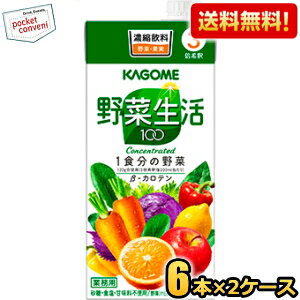 【送料無料】カゴメ 野菜生活100 3倍濃縮タイプ 1000ml紙パック 12本(6本×2ケース) 野菜ジュース 【3倍濃縮で1杯当たり60ml使用時、なんと1本当たり約16杯相当。6本入りなので96杯相当に★】 ※北海道800円・東北400円の別途送料加算(4)