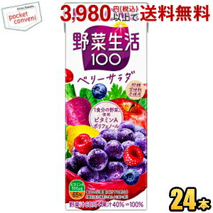 カゴメ 野菜生活100 ベリーサラダ 200ml紙パック 24本入 (野菜ジュース エナジールーツ)