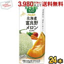 エントリーで全品ポイント5倍★カゴメ 野菜生活100 本日の逸品 北海道富良野メロンミックス 195ml紙パック 24本入 野菜ジュース やさいジュース