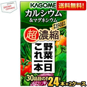 お買いものパンダ皿プレゼント開催中★【送料無料】カゴメ 野菜一日これ一本超濃縮 カルシウム＆マグネシウム 125ml紙パック 48本(24本×2ケース) 野菜ジュース ※北海道800円・東北400円の別途送料加算 [39ショップ]
