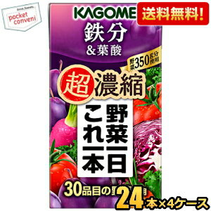 【送料無料】カゴメ 野菜一日これ一本超濃縮 鉄分＆葉酸 125ml紙パック 96本(24本×4ケース) 野菜ジュース ※北海道800円・東北400円の別途送料加算 [39ショップ](4)
