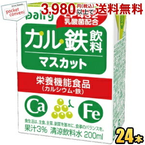クーポン配布中★南日本酪農協同(株) デーリィ カル鉄飲料 マスカット 200ml紙パック 24本入 (常温保存可能) (栄養機能食品(カルシウム))のサムネイル