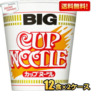 【送料無料】日清 101gカップヌードル BIGビッグ 24食(12食×2ケース) カップラーメン ※北海道800円・東北400円の別途送料加算 [39ショップ](4)