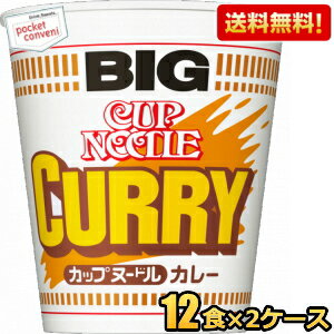 【送料無料】日清 120gカップヌードル カレー BIGビッグ 24食(12食×2ケース) カップラーメン ※北海道800円・東北400円の別途送料加算 [39ショップ]
