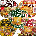 クーポン配布中★【送料無料】日清 日清のどん兵衛 選べる2種 24食セット(12食×2ケース) カップうどん カップそば カップ麺 きつねうどん 西日本 天ぷらそば 西日本 カレーうどん かき揚げ天ぷらうどん 肉うどん ※北海道800円・東北400円の別途送料加算