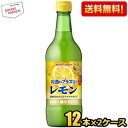 抽選でお買いものパンダグッズ★期間限定特価【送料無料】ポッカサッポロ お酒にプラスレモン 540ml瓶 24本(12本×2ケース) (ビン 焼酎・ウォッカ・ジン...