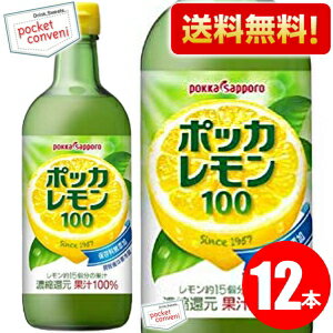 期間限定特価【送料無料】 ポッカサッポロ ポッカレモン100 450ml瓶 12本入 ※北海道800円・東北400円の別途送料加算