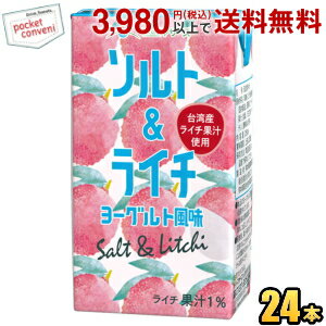 期間限定特価 らくのうマザーズ ソルト＆ライチ ヨーグルト風味 250ml紙パック 24本入 ソルティライチ