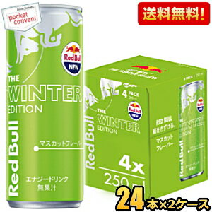 10月3日発売★【送料無料】レッドブル ウィンターエディション マスカットフレーバー 250ml缶 48本(24本×2ケース) RED BuLL エナジードリンク マスカット味 Winter Edition ウインターエディション ※北海道800円・東北400円の別途送料加算のサムネイル