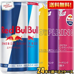 【送料無料】レッドブル エナジードリンク 250ml缶 48本(24本入×選べる2アイテム) RED BuLL オリジナル シュガーフリー イエロー パープルエディション スプリングエディション ※北海道800円・東北400円の別途送料加算