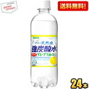 【送料無料】【炭酸充填量5.0GV グレープフルーツ】 サンガリア 伊賀の天然水 強炭酸水 グレープフルーツ 500mlペットボトル 24本入 ※北海道800円・東北400円の別途送料加算 [39ショップ]