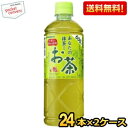 【送料無料】サンガリア あなたの抹茶入りお茶 600mlペットボトル 48本 (24本×2ケース) ※北海道800円・東北400円の別途送料加算 [39ショップ...