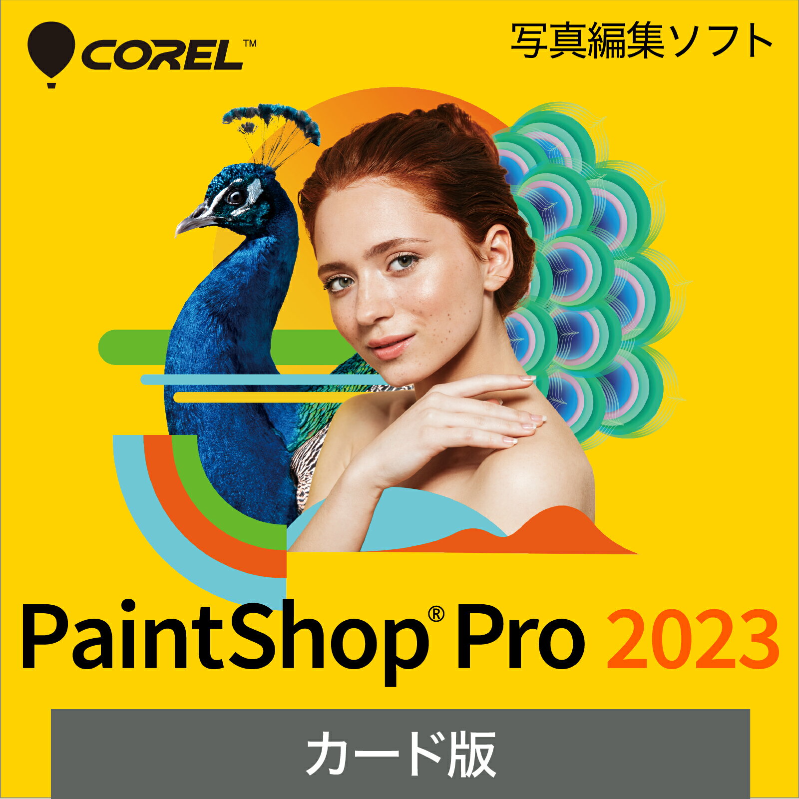 【マラソン限定価格】PaintShop Pro 2023(最新) Windows用 写真編集ソフト 送料無料 ソースネクスト