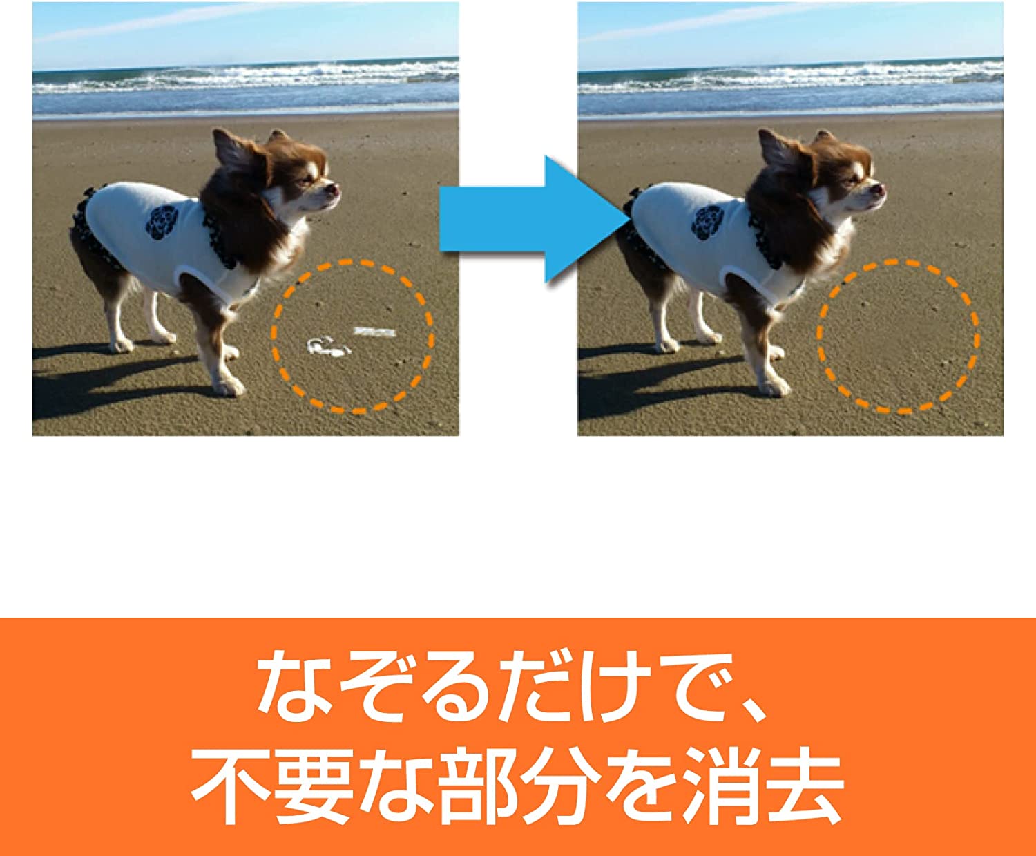 【公式】フォト消しゴム6(最新) [Windows用][画像編集ソフト]画像編集　写真編集　ソースネクスト【3000円以上で送料無料】 3