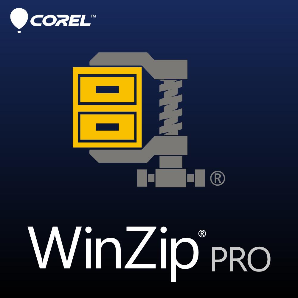 WinZip 28 Pro 【ダウンロード版】DL_SNR[Windows用][バックアップ ソフト] 圧縮　暗号化　ファイル管理　セキュリティ　解凍　ファイル共有　ZIP　MP3　バックアップ　PDFファイル　画像ファイル
ITEMPRICE