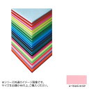 ARTE アルテ ニューカラーボード デザインボード 5mm 3×6 900×1800mm コーラルピンク 5CB-3x6-CP
