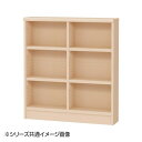 TAIYO OWR オーダーワイドラック 9080スリム ライトナチュラル LN(3)