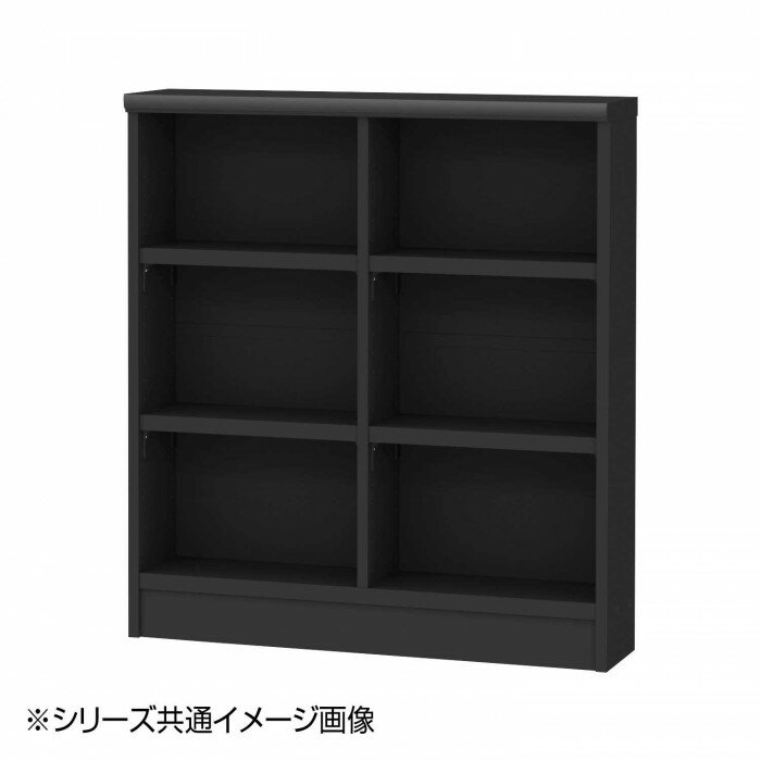 TAIYO OWR オーダーワイドラック 9080スリム ブラック BK