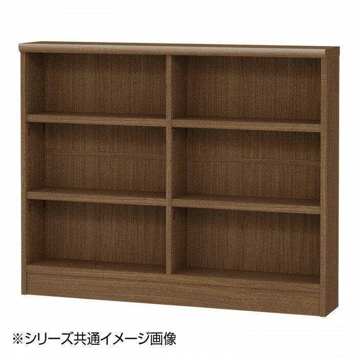 TAIYO OWR オーダーワイドラック 9085スリム ウォールナットブラウン WB