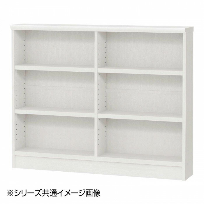 TAIYO OWR オーダーワイドラック 9090スリム ホワイトウッド WW