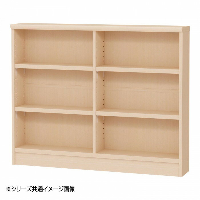 TAIYO OWR オーダーワイドラック 9095スリム ライトナチュラル LN