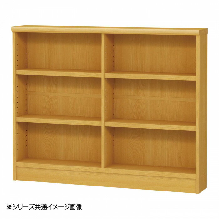 TAIYO OWR オーダーワイドラック 90105スリム ナチュラル NA