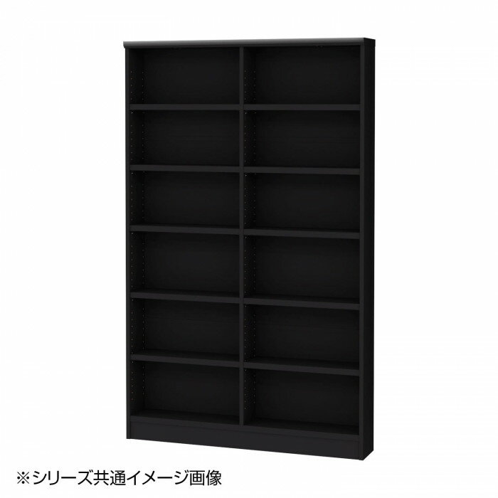 TAIYO OWR オーダーワイドラック 1885スリム ブラック BK