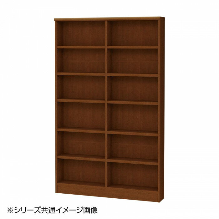 TAIYO OWR オーダーワイドラック 1895スリム ブラウン BR