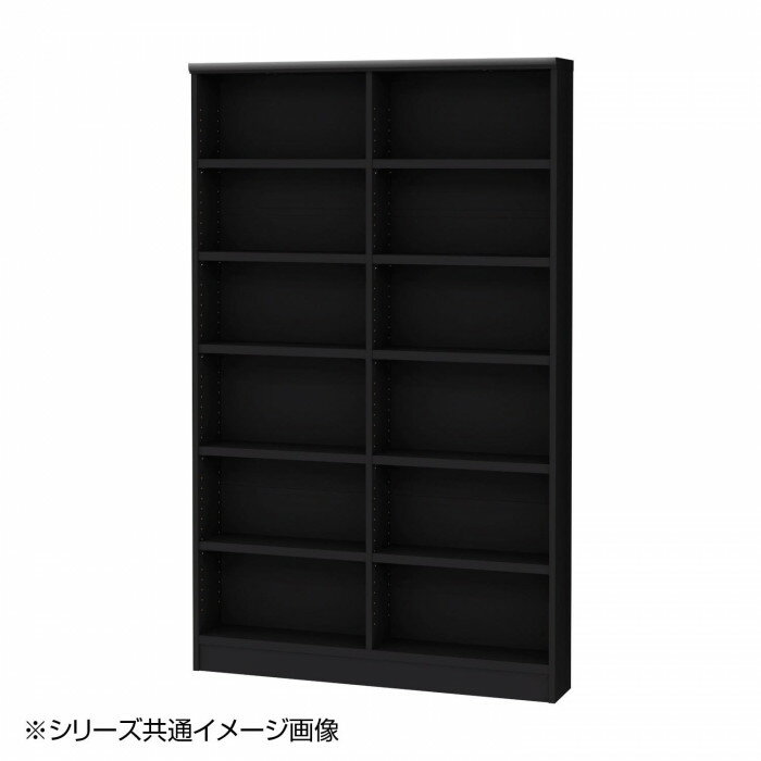 TAIYO OWR オーダーワイドラック 18110スリム ブラック BK