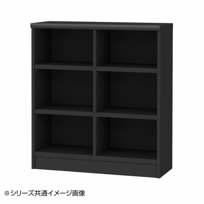 TAIYO OWR オーダーワイドラック 9080レギュラー ブラック BK