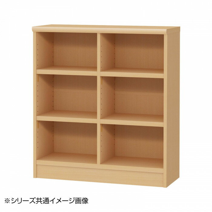 TAIYO OWR オーダーワイドラック 9090レギュラー ペアナチュラル PN