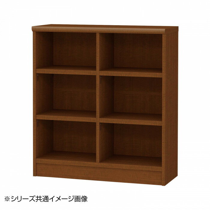 TAIYO OWR オーダーワイドラック 9095レギュラー ブラウン BR