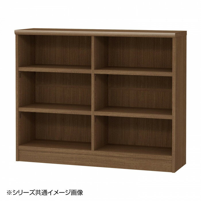 TAIYO OWR オーダーワイドラック 90100レギュラー ウォールナットブラウン WB