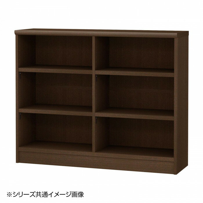 TAIYO OWR オーダーワイドラック 90120レギュラー ダークブラウン DB