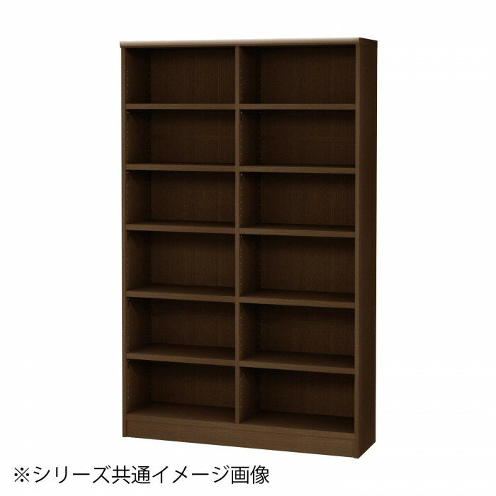 TAIYO OWR オーダーワイドラック 18110レギュラー ダークブラウン DB