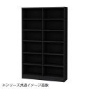 TAIYO OWR オーダーワイドラック 18110レギュラー ブラック BK